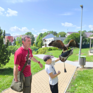 Draví ptáci ve školní družině