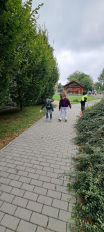 Foto 2d37b6f2-992a-42ef-be90-ecf0d15e3ca5_original.jpg