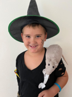 Foto img-4217_original.jpg