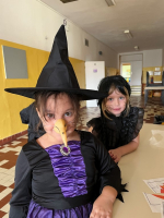 Foto img-4220_original.jpg