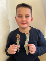 Foto img-4919_original.jpg