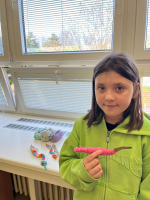 Foto img-4920_original.jpg