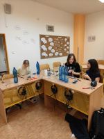 Foto img20251211141543_original.jpg