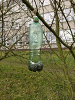 Foto img20251211144034_original.jpg