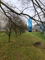 Foto img20251211144506_original.jpg