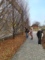 Foto img20251211144940_original.jpg