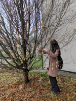 Foto img20251211144952_1_original.jpg