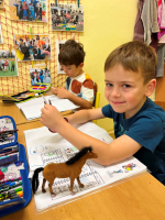 Foto img-5274_original.jpg