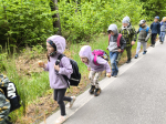 Foto img-20260514-171926_original.jpg