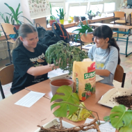Wellbeing ve škole