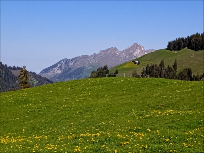 Fotogalerie Švýcarsko - květen 2023, foto č. 5